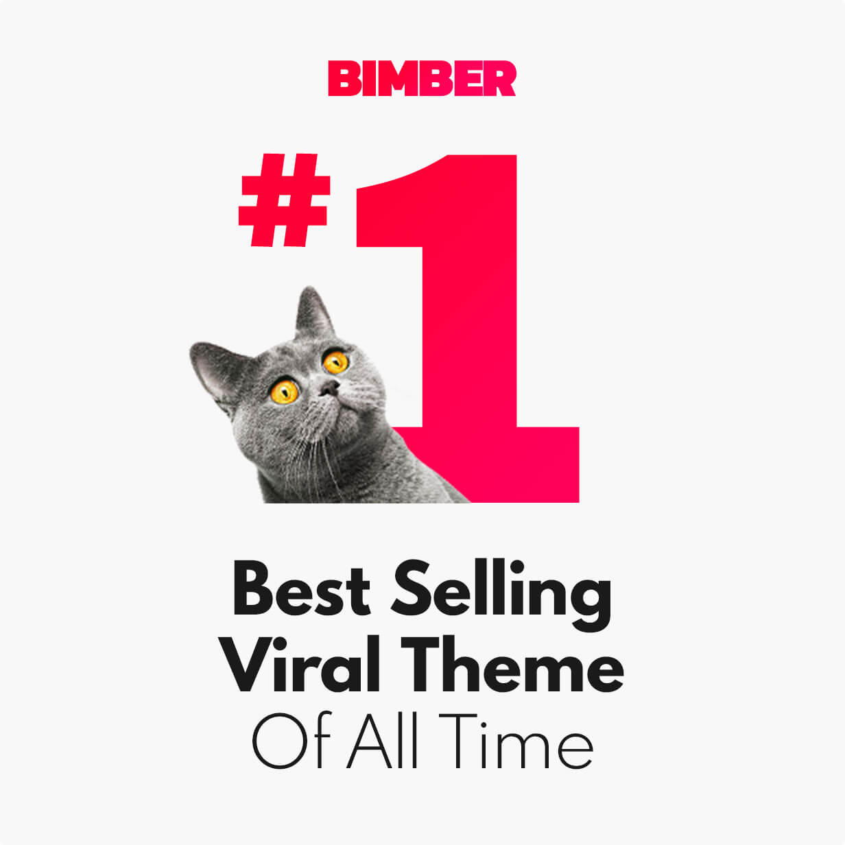 Bimber - Tema viral de WordPress más vendido